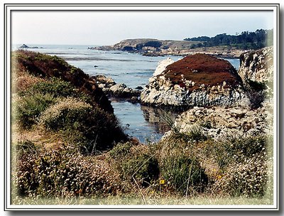 California, Point Lobos.