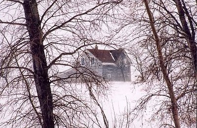 Winter Bluster