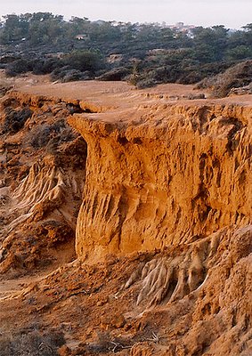 Torrey Pines Cliffs