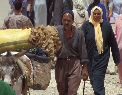 Market Day in Moulay-Idriss