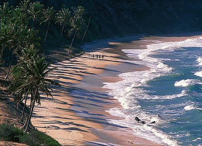 Love's Beach - Pipa - Brasil