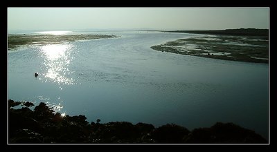 Low tide on Golfe du Morbihan