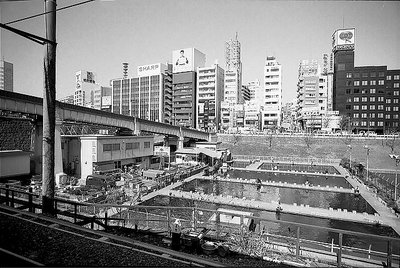 Fishing in the Big City