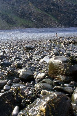 Pebble Beach