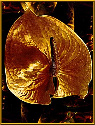 Anthurium (in bronze)