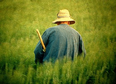 Man in the field