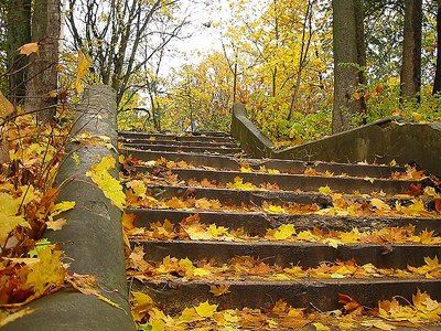 Stairs in city park