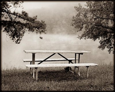 Table with a View