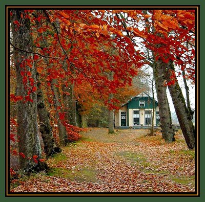 House in Autumn colours