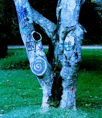 Grafitti Tree 'au natural'