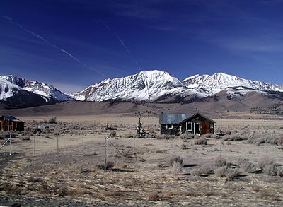 Snowy Hut