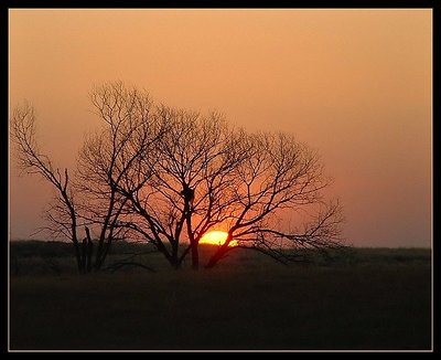 Elk Grove Sunset