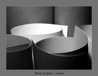 Study on grey & curves