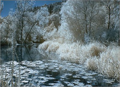 Landscape infrared