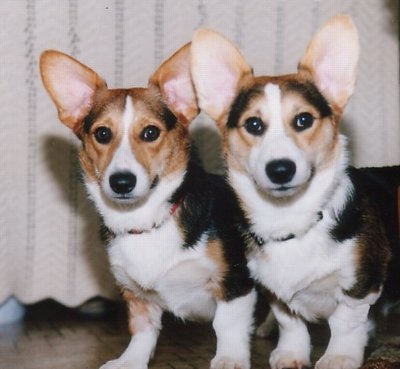 Double trouble