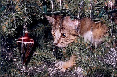 First Christmas!