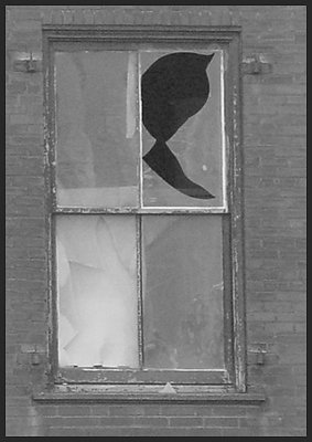 Broken window in St. Louis