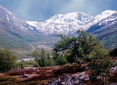 Norwegian landscape