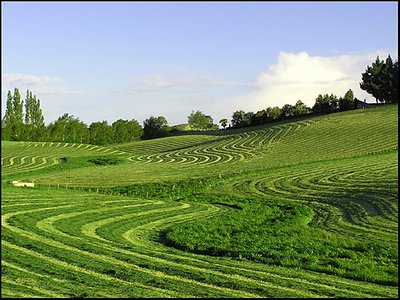 Rural Curves 1