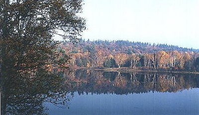 Elbow Lake