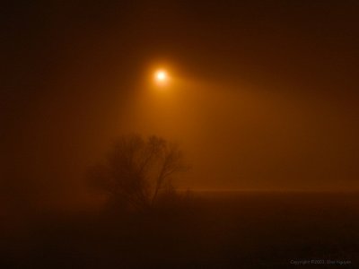 Misty Light