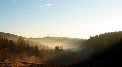 Foggy landscape.