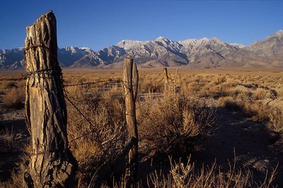 Owens Valley morning