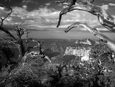 Grand Canyon North Rim