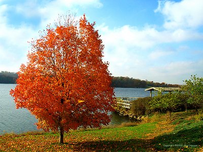 Lake view in the Fall