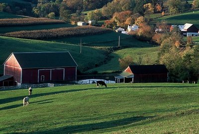 Amish Countryside