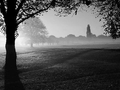 Sunrise Mist