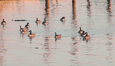 ' visiting by the pier'