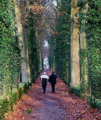 Walking in the alley