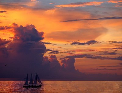 Storm brewing