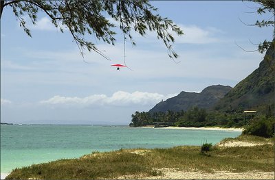 Hang-glider, Oaho, Hawaii