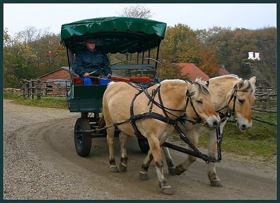 Horse cart;