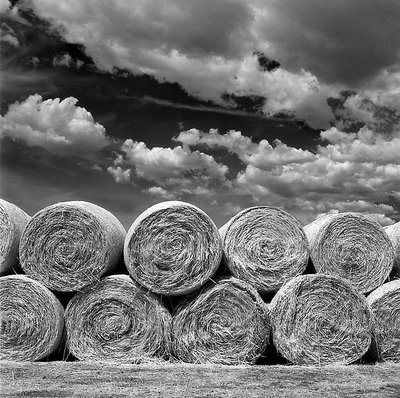 Hay Bales, Mead Colorado