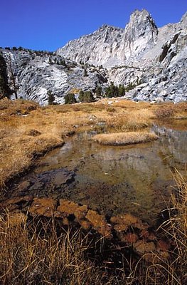 High Sierra Marsh