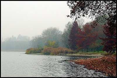 Colors in The Fog... (Lake's life)