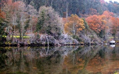 AUTUMN RIVER