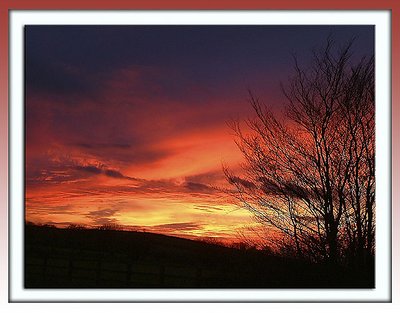 Sunset by the roadside